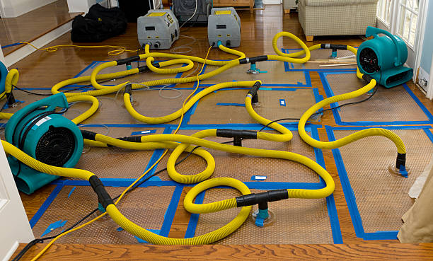 Professional Water Damage Restoration technician working in Quebeck, TN
